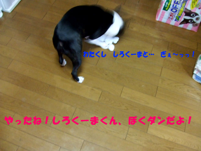 f0059334_9502481.jpg