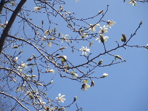 a0054240_15161022.jpg