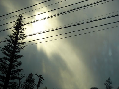 d0078842_0174228.jpg