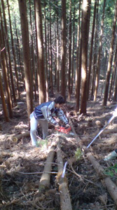 f0123142_13503081.jpg