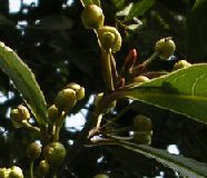 c0085543_22435246.jpg