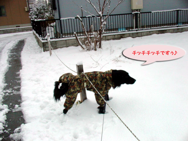 f0018144_10191727.jpg