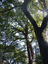 f0115546_23574378.jpg
