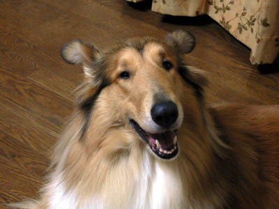 f0042255_176046.jpg