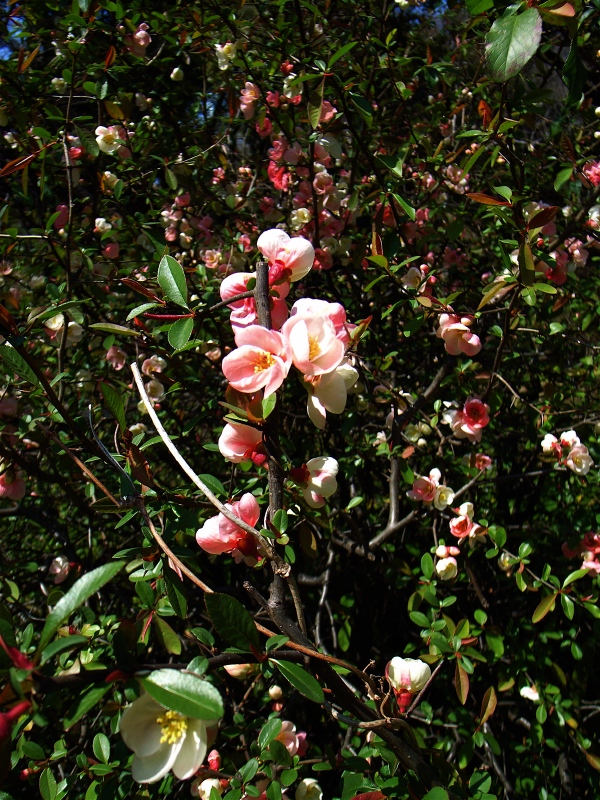 f0070556_1405737.jpg