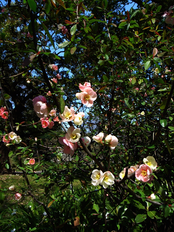 f0070556_141158.jpg