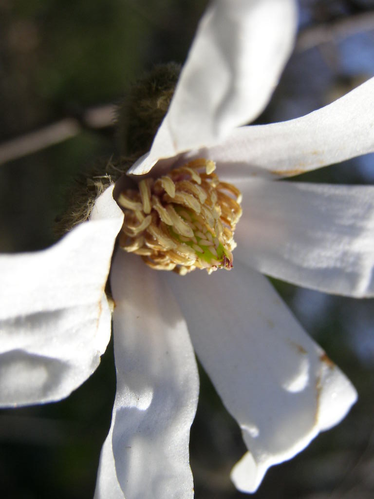e0064158_1452181.jpg