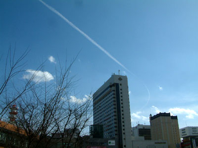 c0050264_1049286.jpg