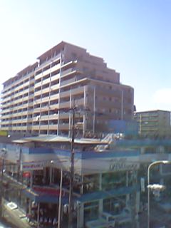 c0077465_1617267.jpg