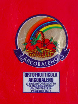 f0032969_1538436.jpg