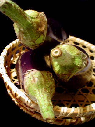 f0056476_1158505.jpg