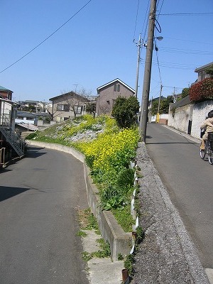 a0038882_9243550.jpg