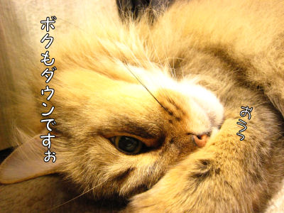 a0045990_23574115.jpg