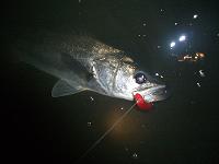 f0069890_1214459.jpg