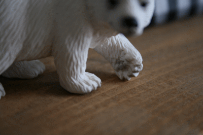 d0100192_21322723.gif