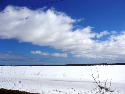 f0029393_197721.jpg