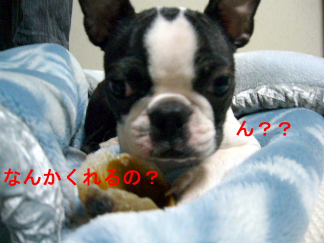 d0070702_22522929.jpg