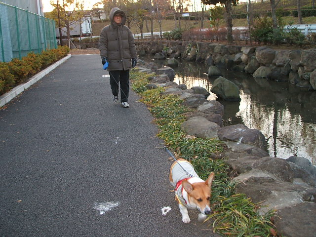a0024004_15132957.jpg