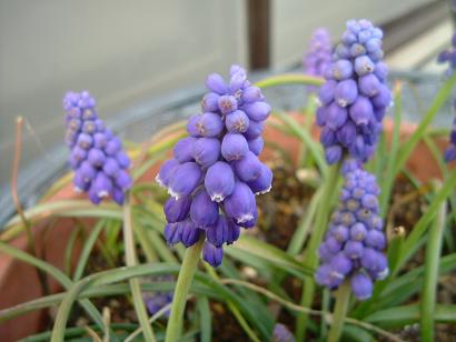 c0115121_21244950.jpg