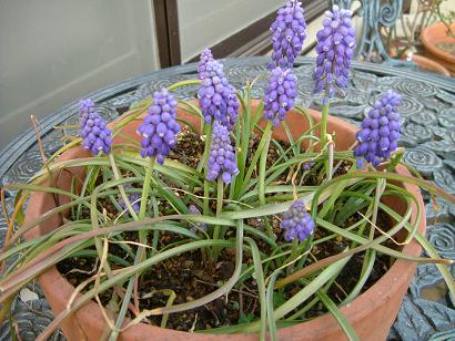 c0115121_21251973.jpg