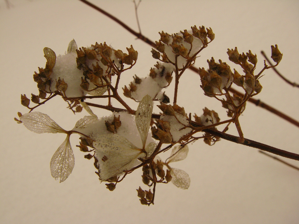 b0062024_22535100.jpg