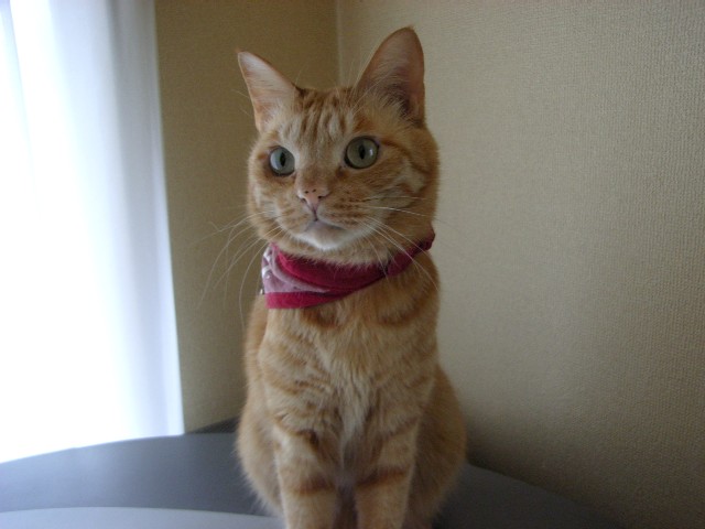d0081025_17571369.jpg