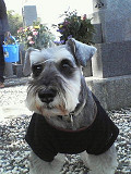 e0094325_23285819.jpg
