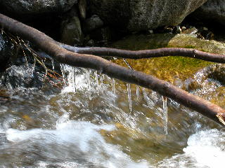 e0033926_13104428.jpg