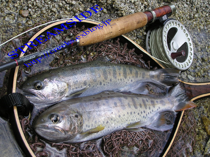f0103126_1814612.jpg