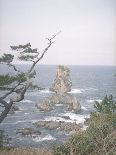 d0036630_11234545.jpg