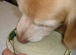 f0054731_13474876.jpg