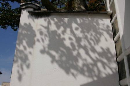 e0086642_19383654.jpg