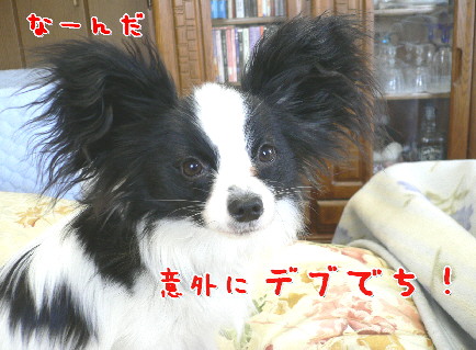 d0013149_22563310.jpg