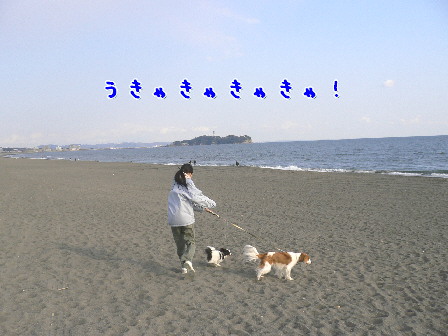 d0013149_2358518.jpg