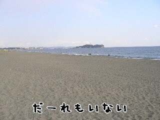 d0013149_2375368.jpg