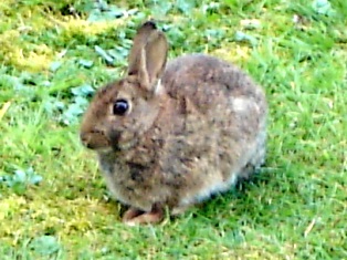 e0018350_7351986.jpg