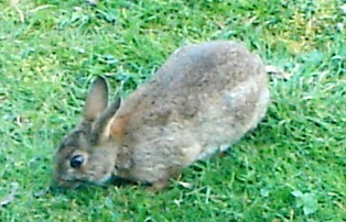 e0018350_7364023.jpg