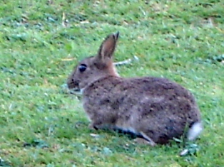 e0018350_7421464.jpg