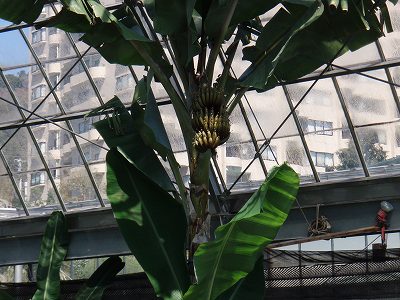 f0073059_0115359.jpg