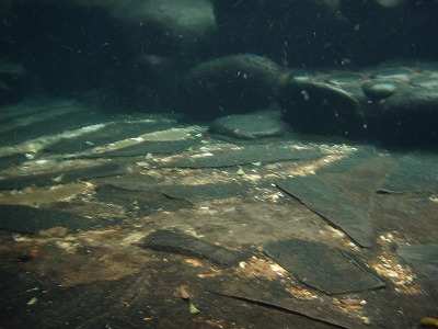 f0073059_1115472.jpg