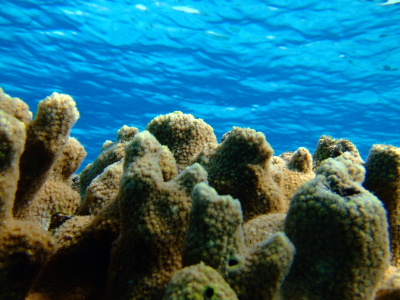 d0102664_2153284.jpg