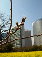 c0102268_19144130.jpg