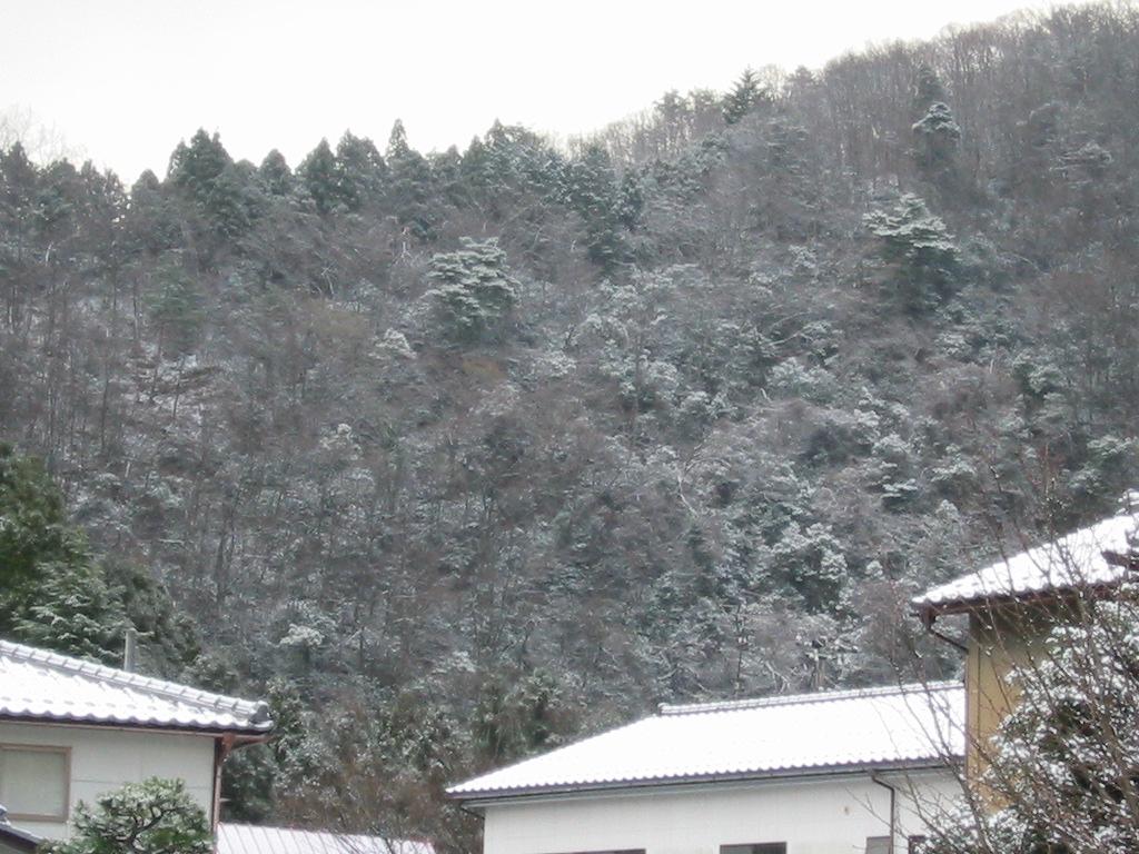 d0094868_1365382.jpg