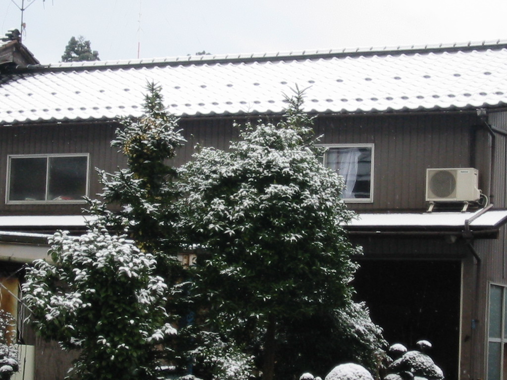d0094868_137893.jpg