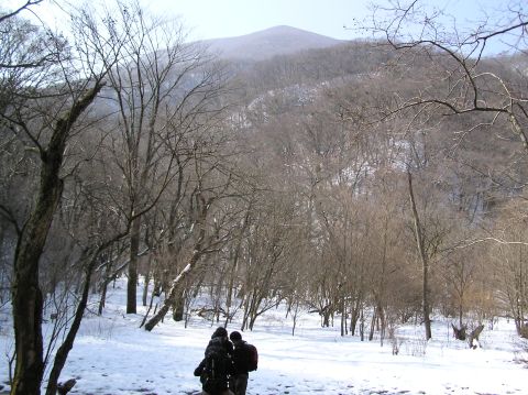 c0042869_21223497.jpg