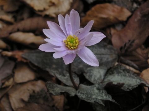c0042869_21235786.jpg