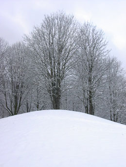 f0032969_22344967.jpg
