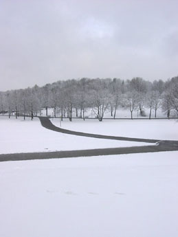 f0032969_22433331.jpg