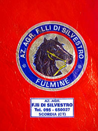 f0032969_23253179.jpg
