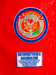 f0032969_23255873.jpg